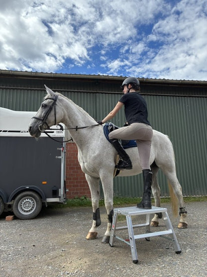 euroline PREMIUM line DIY Alu - Stufentritt, beidseitig 30581 - Topleiter